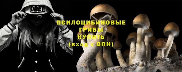 кокаин Гусиноозёрск