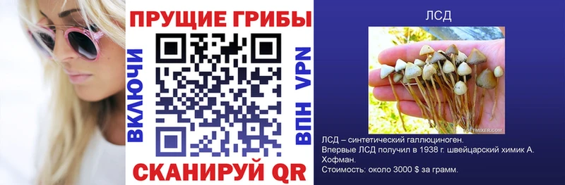 KRAKEN tor  даркнет сайт  Сальск  Галлюциногенные грибы прущие грибы 