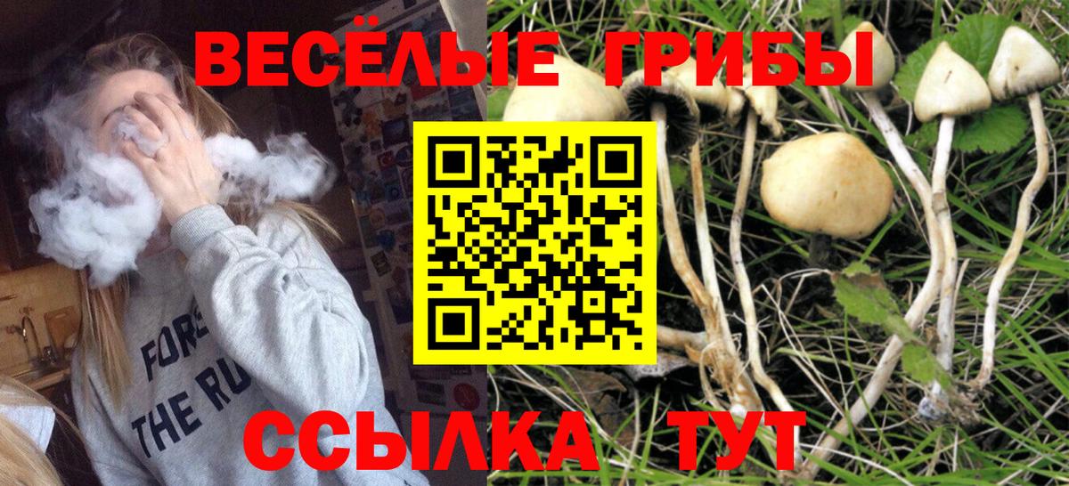 Сальск  цены наркотик  Вход с VPN  Галлюциногенные грибы ЛСД 